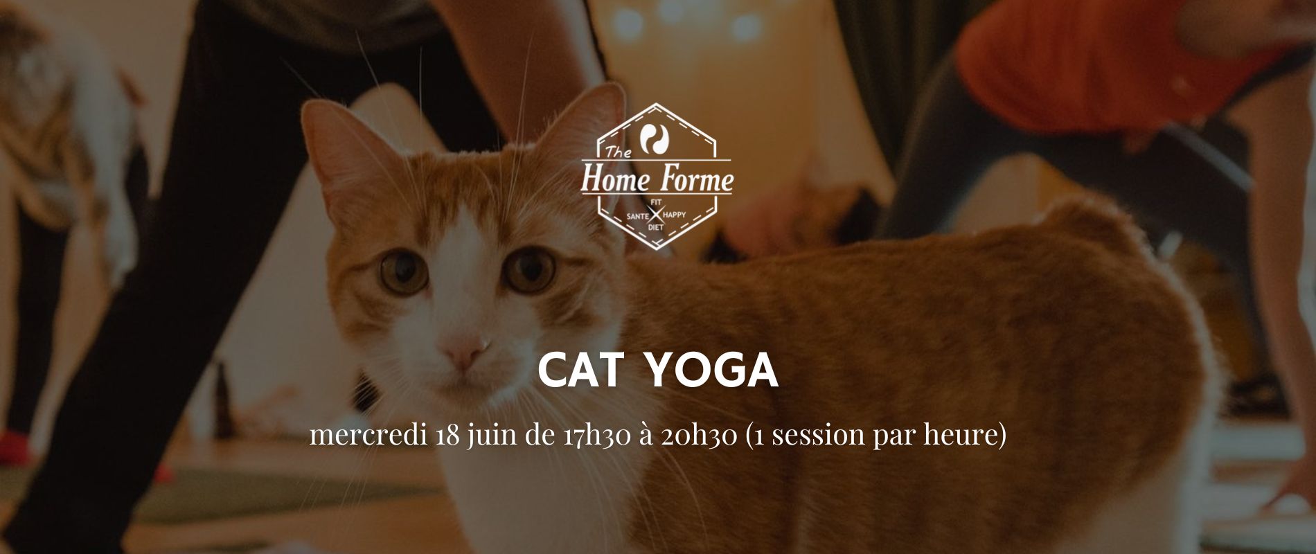 Évènement Cat Yoga (2)