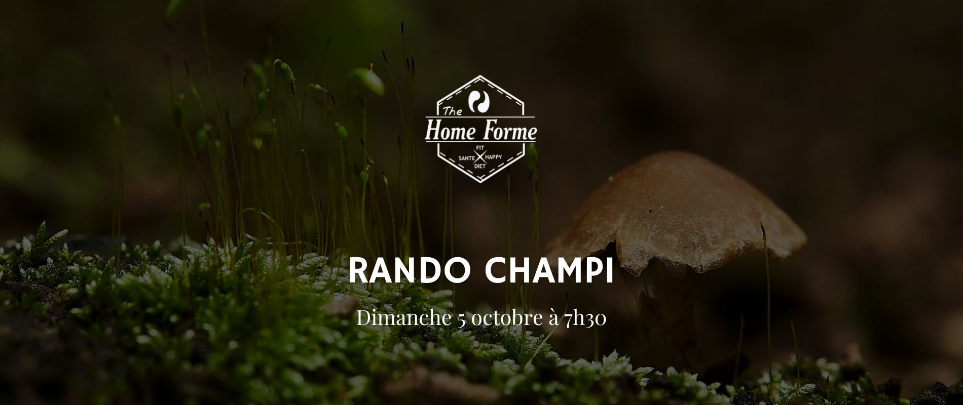 rando-champi