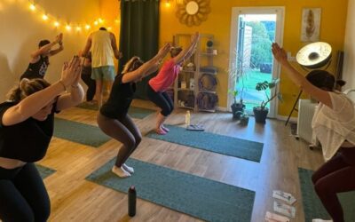 Les nouveautés de novembre 2025